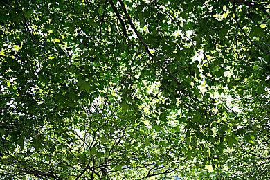 《原子之心》DLC“困在地狱边缘”获IGN 3分评价