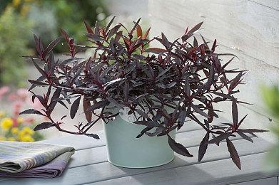 《神海》主创漫威游戏公布 可控制美队、黑豹等四个角色