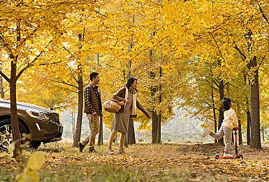 《怪物猎人 崛起》公布新TVCM 明年1月登录PS＆Xbox